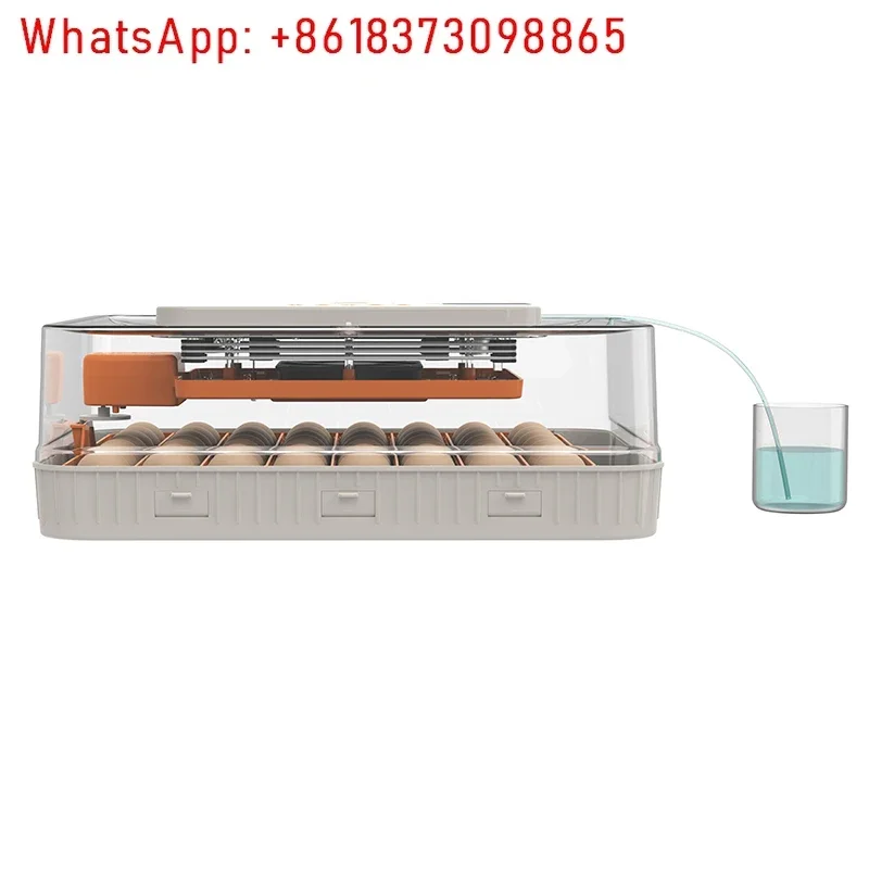 Hhd New Incubator Queen 56 Incubator Egg Hatching Machine Fully Automatic With Egg Tester For Free