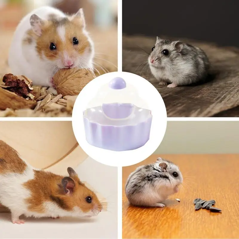 Hamster Litter Box Cake Shaped Digging Sand Container For Hamsters Clear Stable Hamster Sand Bath Container For Squirrel Lemming