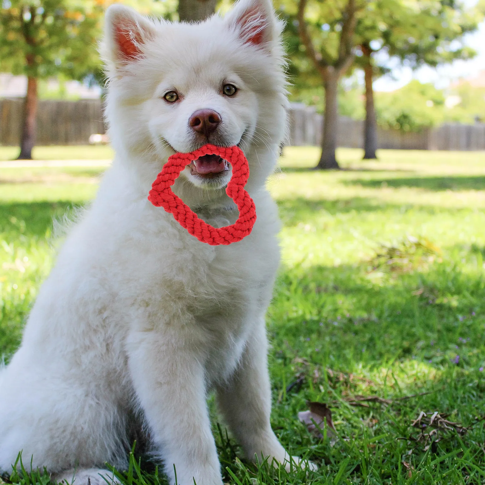 

4 Pcs Pet Love Circle Teeth Cleaning Grinding Squeaky Squirrel Dog Toy Cartoon Bottle Chew Interactive Pet Supplies