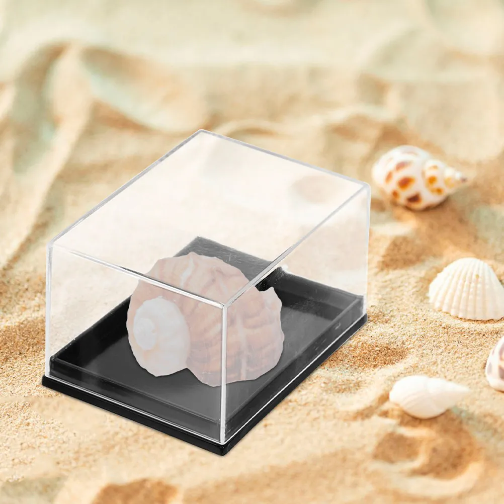 8Pcs Clear Transparent Display Box Rectangular Specimen Storage Shell Mineral Collection Display Case Shell Collection Box