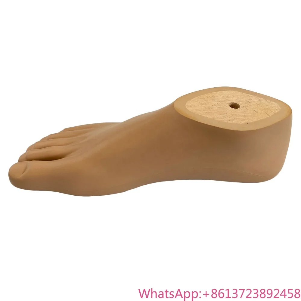 

Prosthetic Foot Sach Foot Artificial Organs Prosthetic Sach Foot