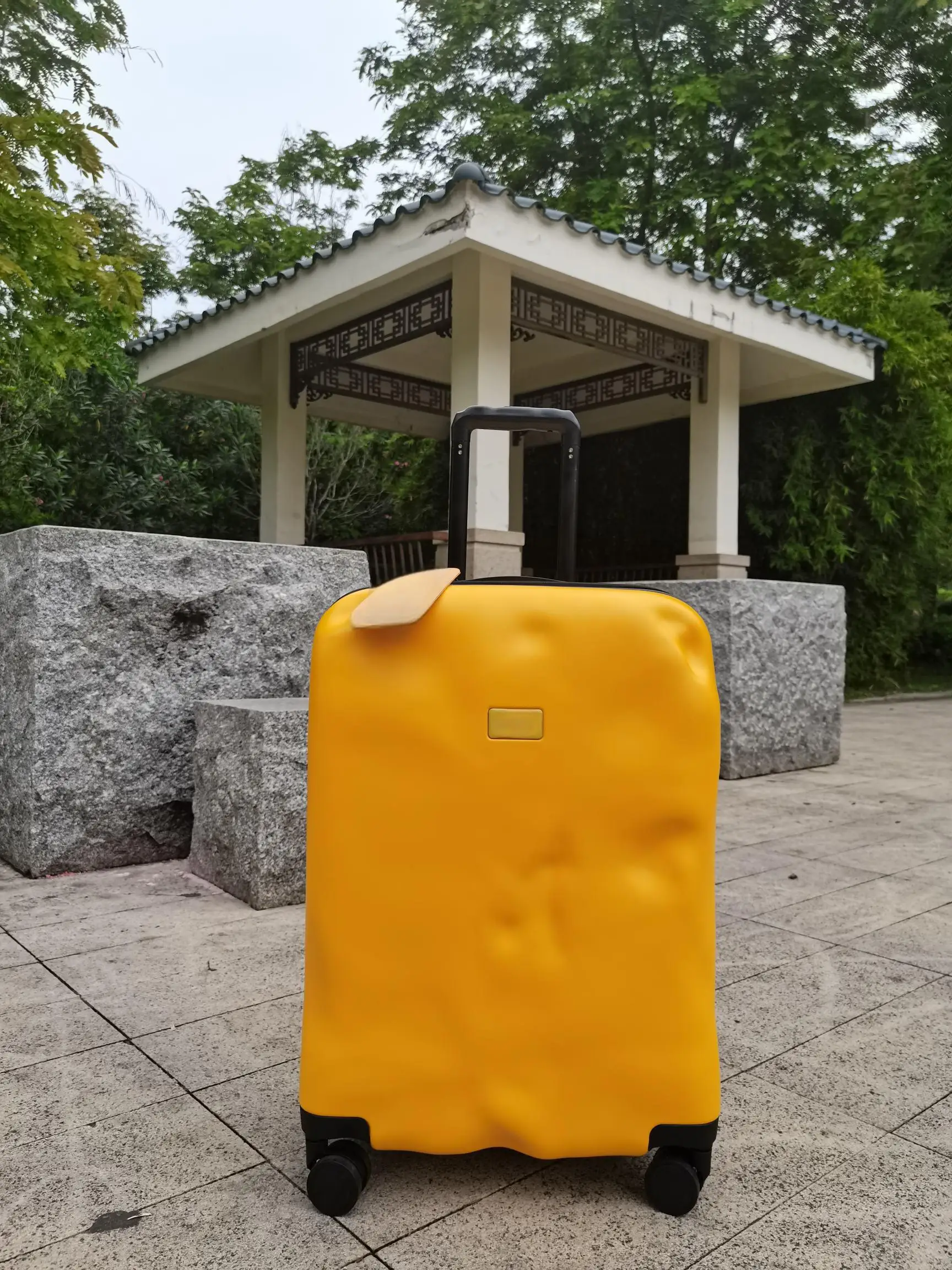 Influencer High-End 21/26/30-Inch Luggage Boarding Wear-Resistant Large Capacity Luxury Spinner Locked Multi-Color Suitcase