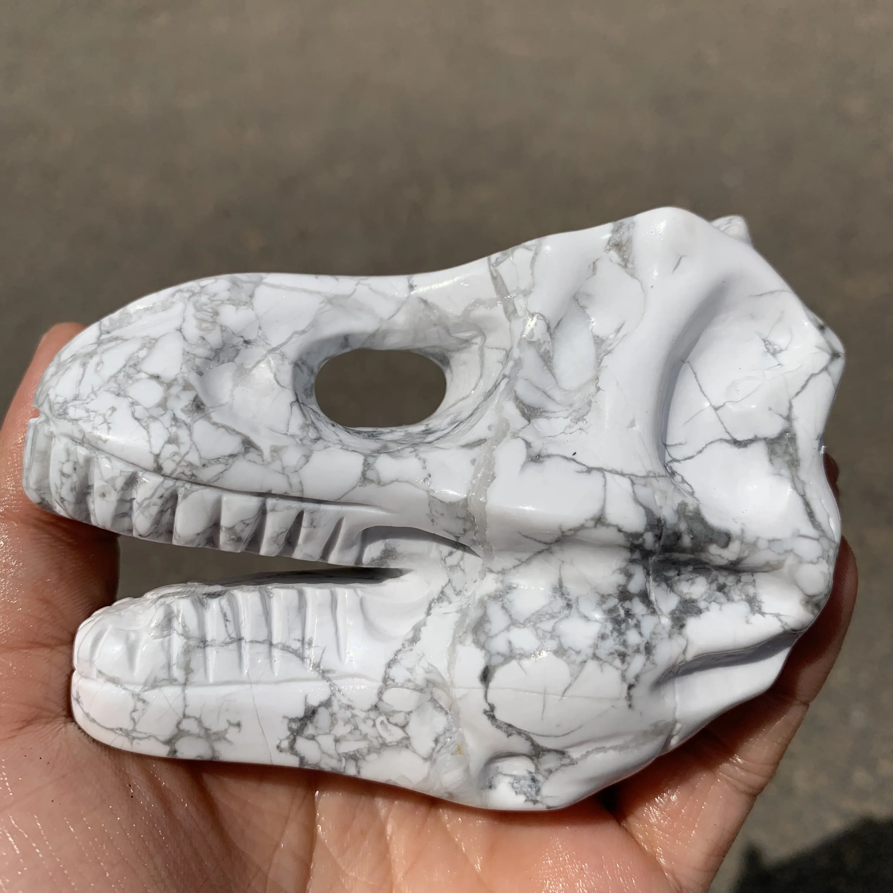 Natural White Howlite Dinosaur Skull Statue Yopperlite Dragon head Skull Figurine