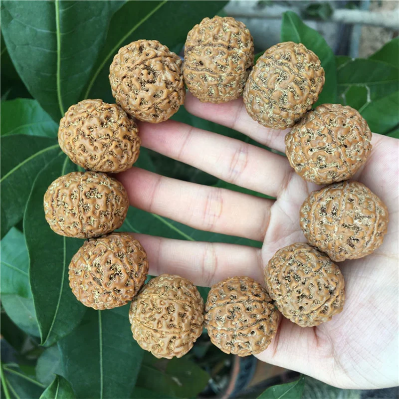 

Индонезийские оригинальные крупные бусины из семян бодхи с алмазной огранкой, 6, 7, 8-лепестковые ручные буддийские молитвенные четки для мужчин и женщин, Lando Hong