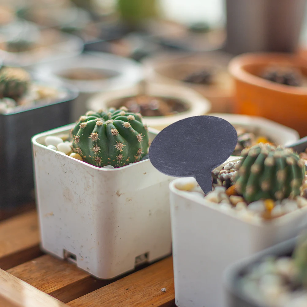 

10pcs Durable Cheese Labels Black Cake Cupcake Dessert Plant Marker Toppers Home Bakery Garden Use For Chalk Writing