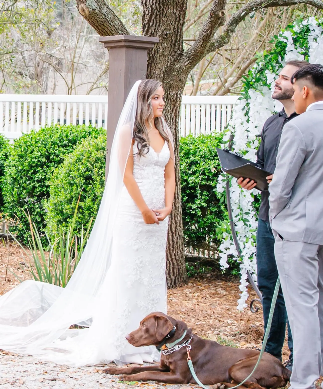 الدانتيل زين فساتين الزفاف للعروس ، حورية البحر الخامس الرقبة ، فساتين الزفاف الطويلة ، الأشرطة السباغيتي