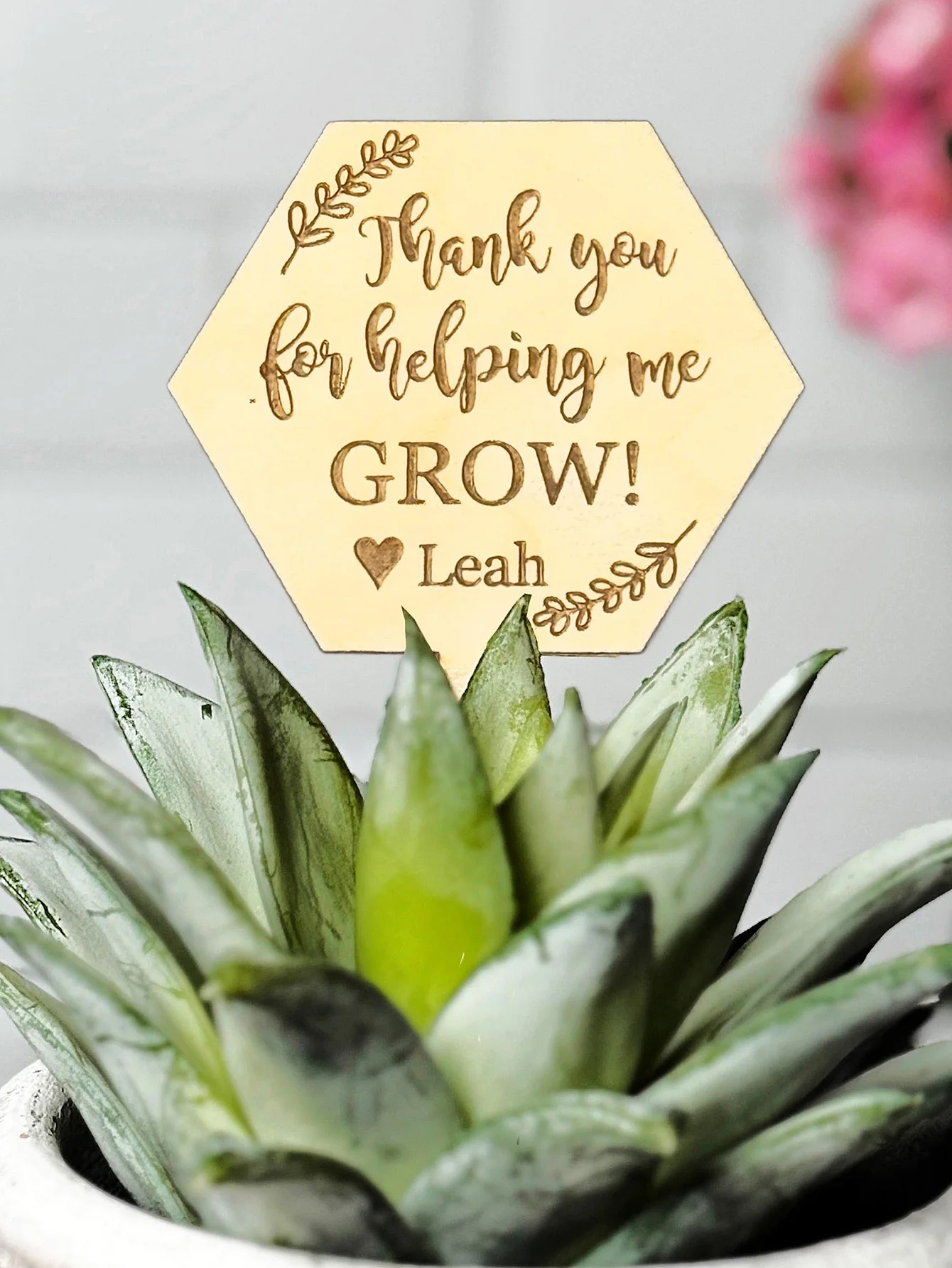 قطعة واحدة من علامة النباتات الخشبية المخصصة - اسم محفور شخصي، استخدام نبات بوعاء، نمط مريح، DIY، منقوش بالليزر، غار للاستخدام اليومي المثالي #2