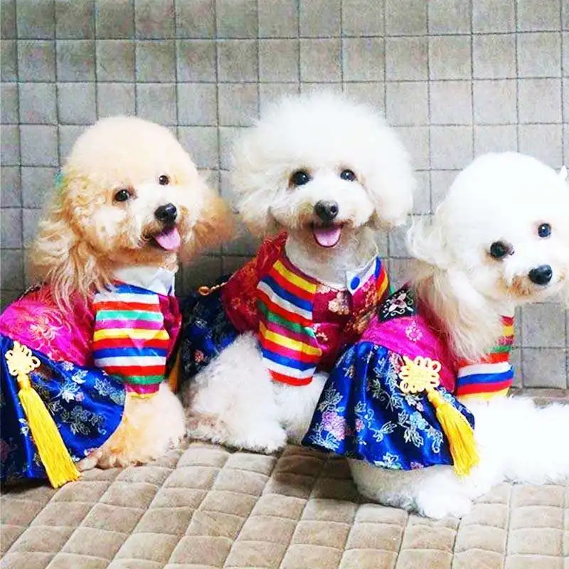 

Cat Suit Dog Stuff Dresses Winter Clothes Dress For Dog Small Dogs Pet New Puppy Hanbok Costume Halloween Apparel Style Super