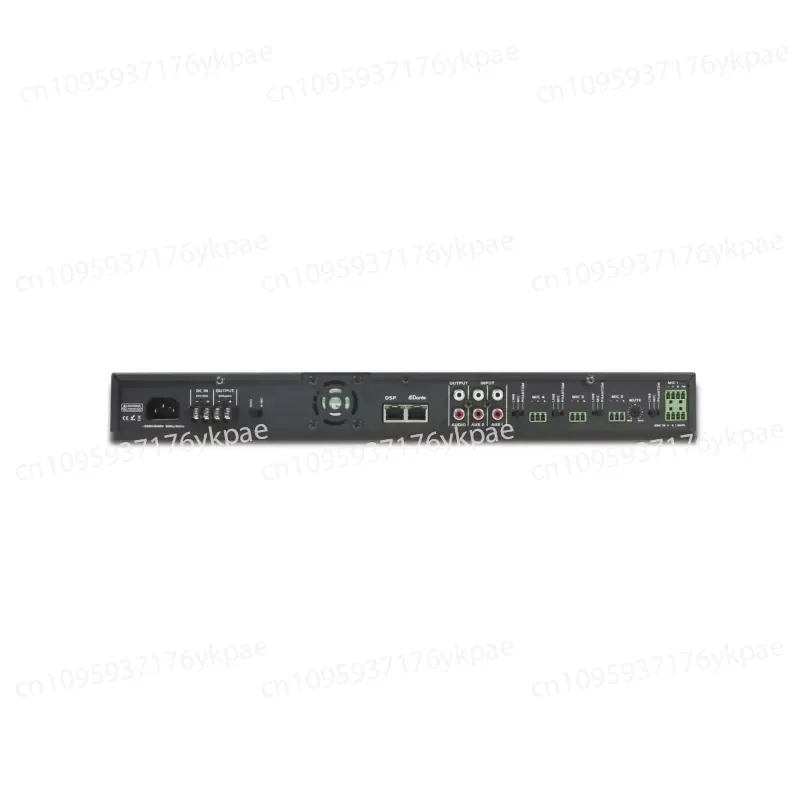 NS-P012 IP Audio Amplifier for Professional Speaker Cabinets in Public Paging Systems