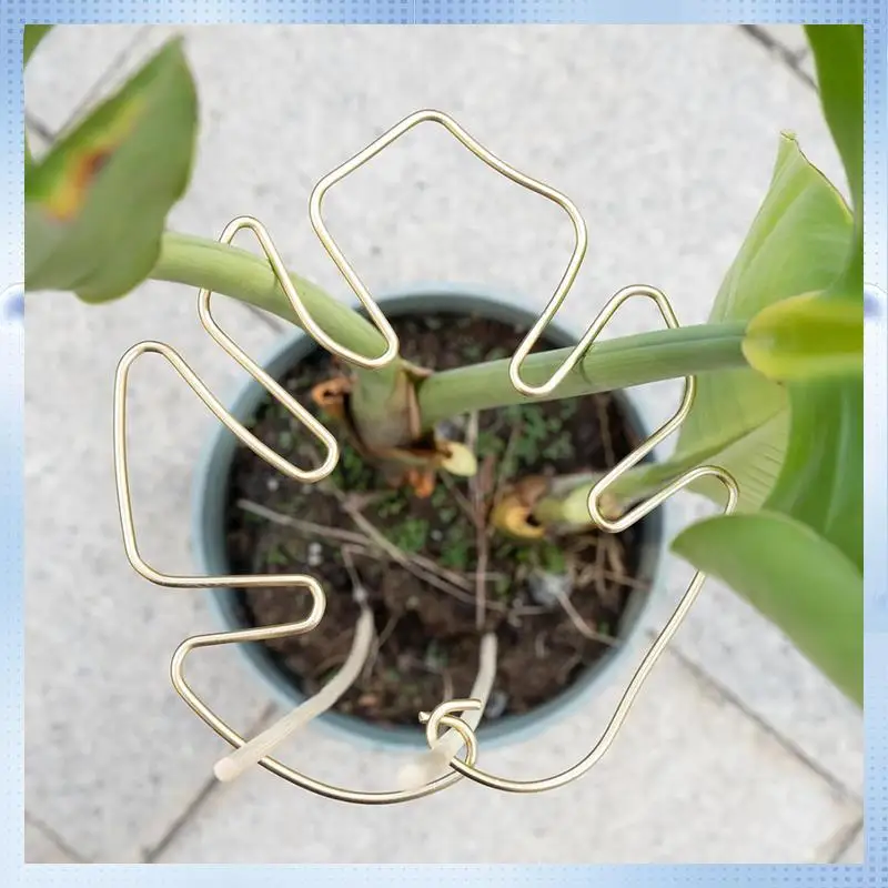 AD-Monstera Stem Support 5Pcs Plant Support System For Monstera & Turtle Shell Plants-Quality Leaf Clamps
