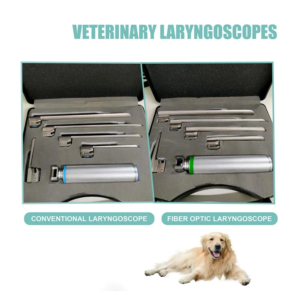 Animal LED Laryngoscope With Qptional 3 Pieces And 5 Pieces, Stainless Steel Animal Anesthesia Laryngoscope Accessories Clinic