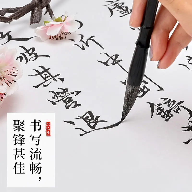 Liupintang – ensemble de pinceaux pour débutants, apprendre les poils de loup et de mouton, adulte, entrée grande, moyenne, petite, calligraphie régulière avec stylo pour