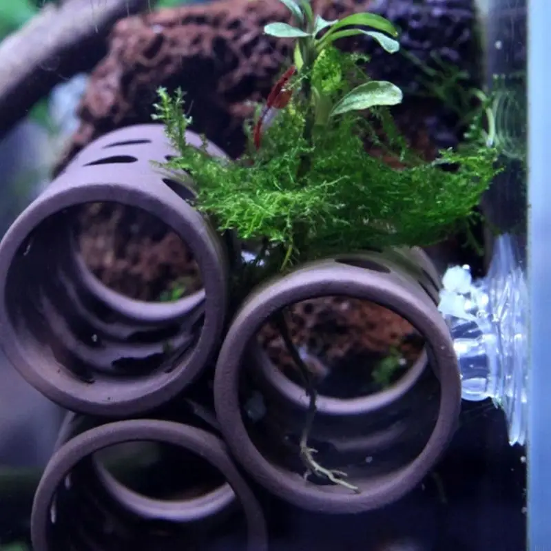 R66A 20 pezzi aspirazione e cravatta per l'organizzazione accessori FishTank