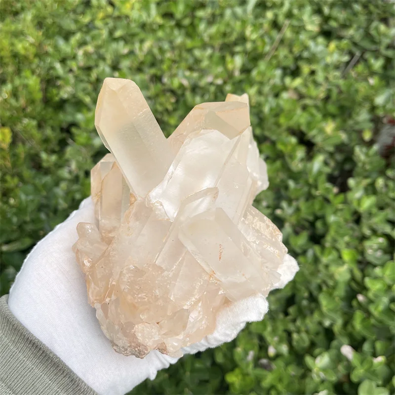 1680g Natural Clear Quartz crystal cluster lucky decoration Healing Reiki Quartz Chakra Stone