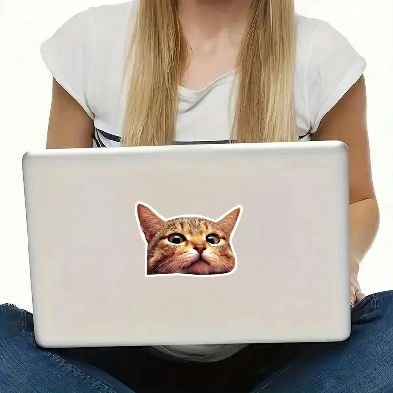 قطعتان من ملصقات الفينيل الرائعة لنافذة القط مقاس 13 × 9 سم، ملصق مقاوم للماء ثلاثي الأبعاد مضحك للسيارة والشاحنة وسيارات الدفع الرباعي والكمبيوتر المحمول