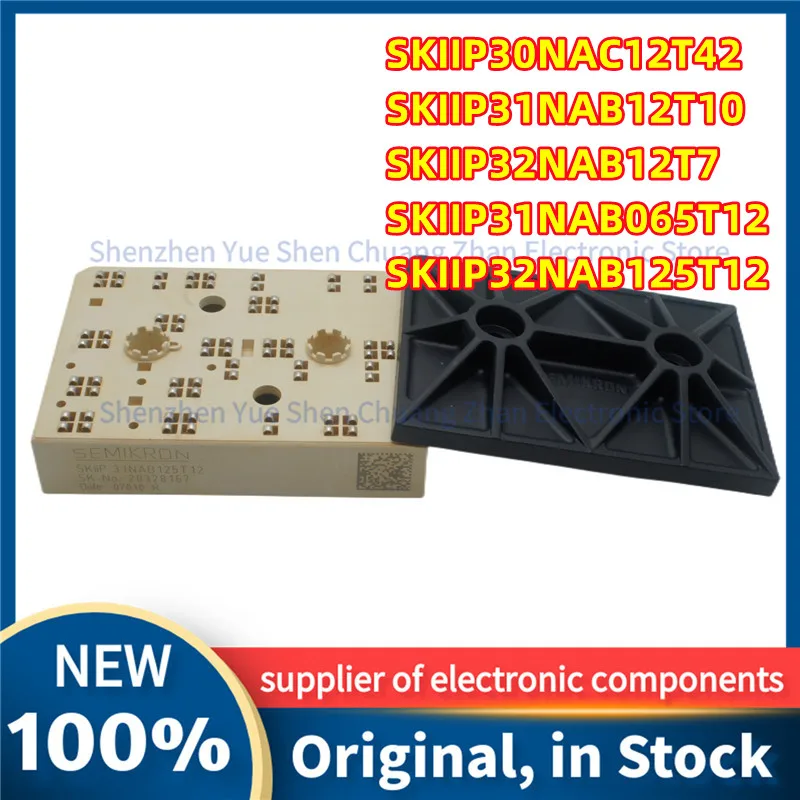 

100% Working Original SKIIP32NAB12T7 SKIIP30NAC12T42 SKIIP31NAB12T10 SKIIP31NAB065T12 SKIIP32NAB125T12 Module In Stock