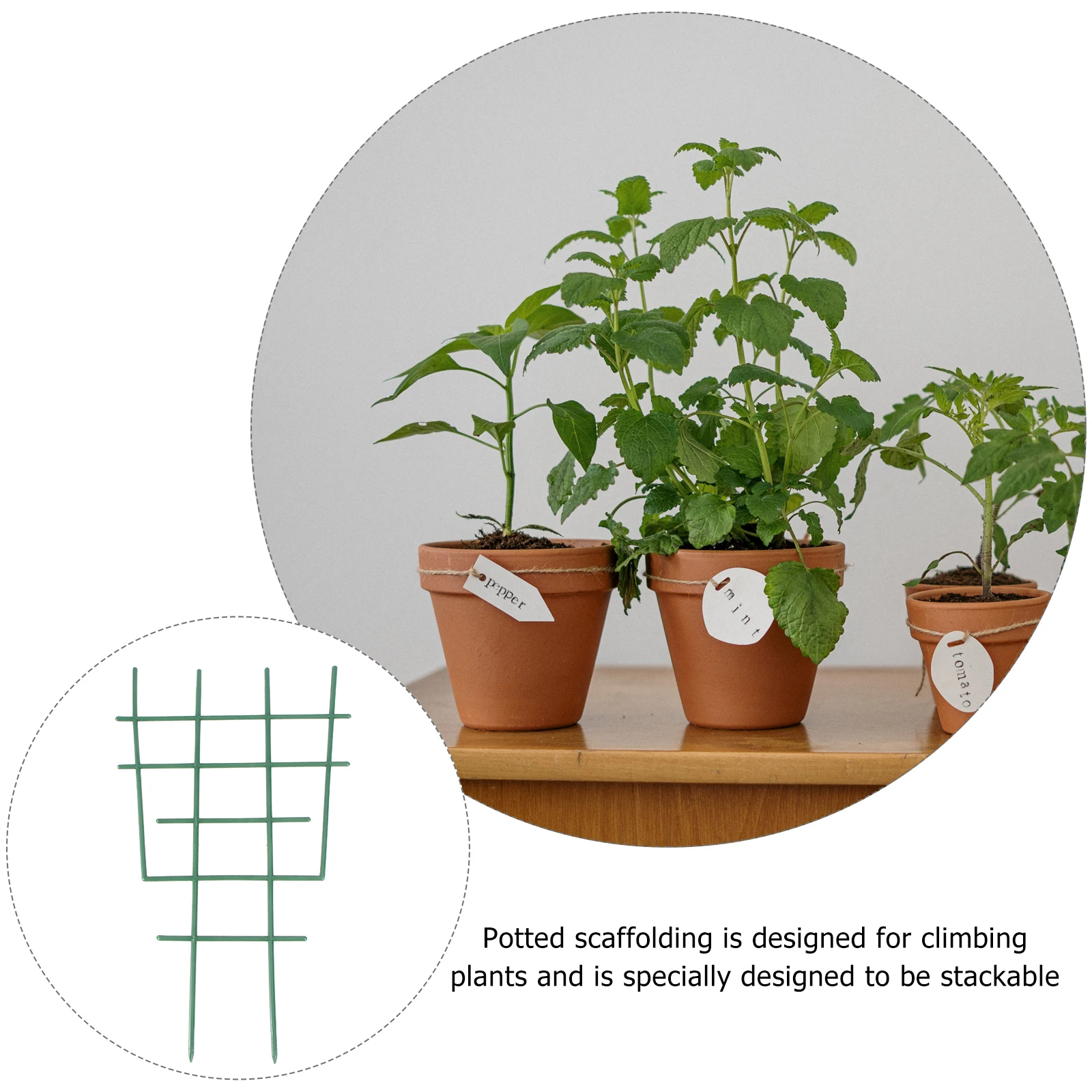 

20PCS Plant Support Frame PP Plastic Durable Garden Trellis Potted Flower Rack Climbing Plants Vine TShaped Adjustable Small
