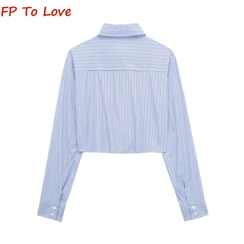 Girls College Style Short Blue Striped Embroidered Shirt Vintage Lapel Tie Trim White Long Sleeve Top