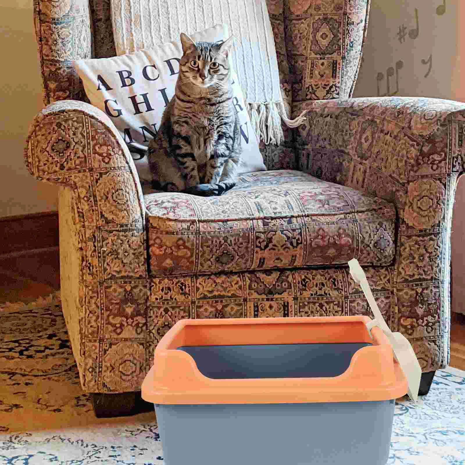 Cat Litter Box Decorative Boxes for Cats Bedpan Semi-Enclosed Type Toilet Kitten Clean