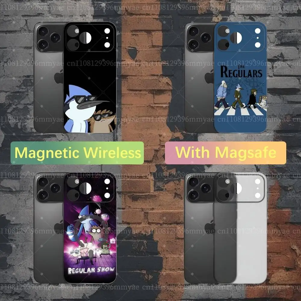 R-RegularS Show Phone Case For iPhone 18,17,16,15,14,13,12,X,XS,Pro,Max,Plus,E,Air,Mini with Magsafe Magnetic Frosted