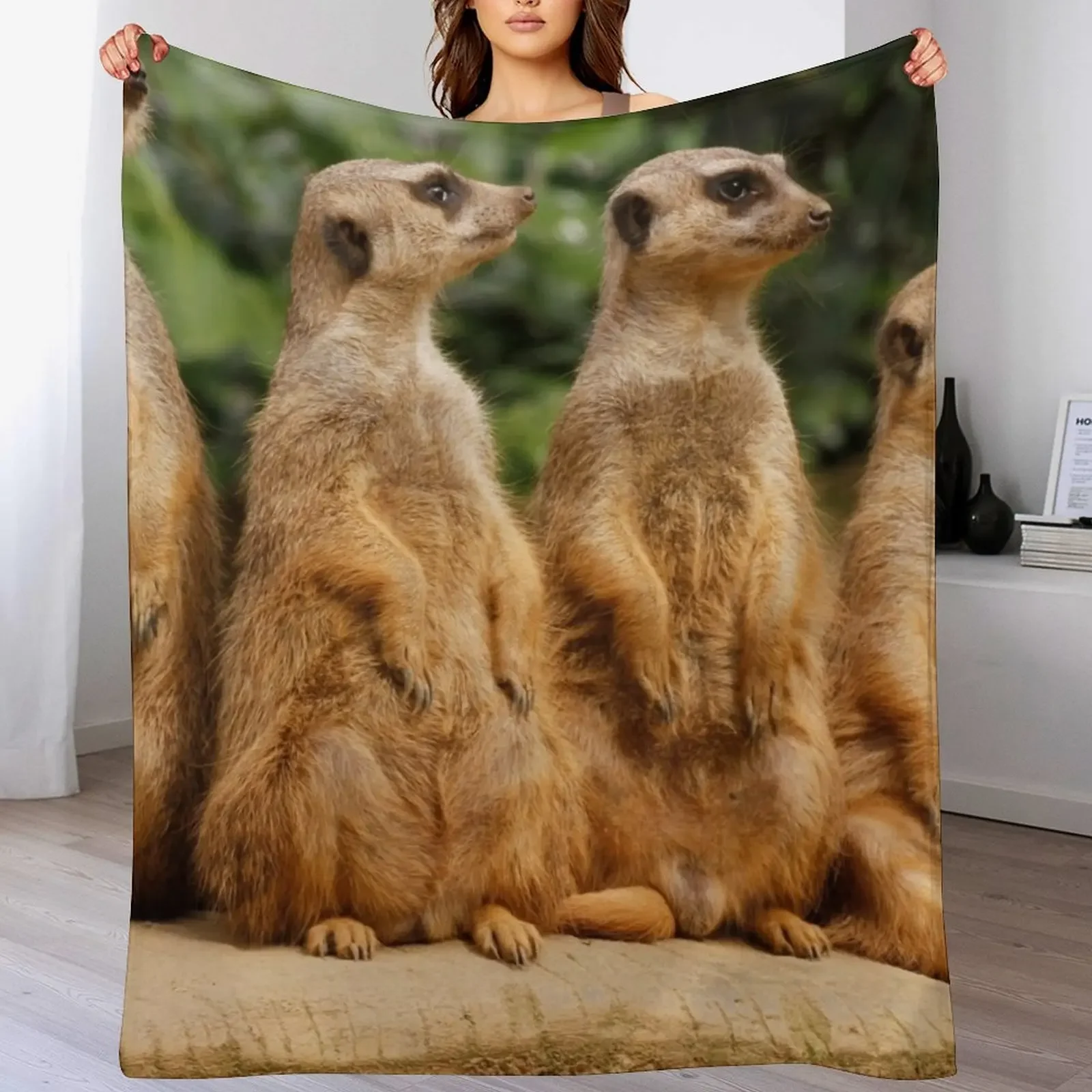 

Meerkat 018 Throw Blanket Blankets Sofas Of Decoration sofa bed Comforter Blankets