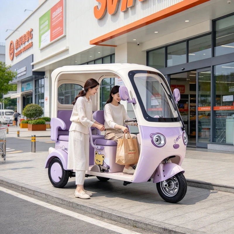 Multifunctional Hot Sale Adult Electric Tricycle Construction Site Vehicle Brushless Motor With Roof Green Power