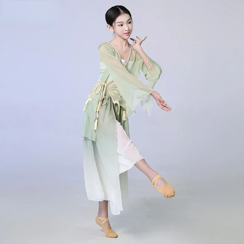 

National Dance Performance Wear Elegant Chinese Folk Costume Classical Yangko Dance Practice Clothes Elegant Dance for Stage