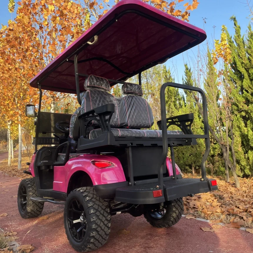 ODM Custom Electric Golf Cart 4 Wheel High Speed 4+2 Seater New Energy Electric Car For Adults Golf Cart Scenic Sightseeing Car