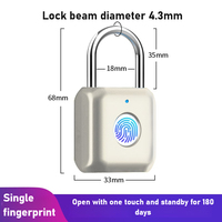Mini Lock Fingerprint Smart Padlock Quick Unlock Keyless USB Rechargeable Door USB Keyless Fingerprint Lock for Luggage Case