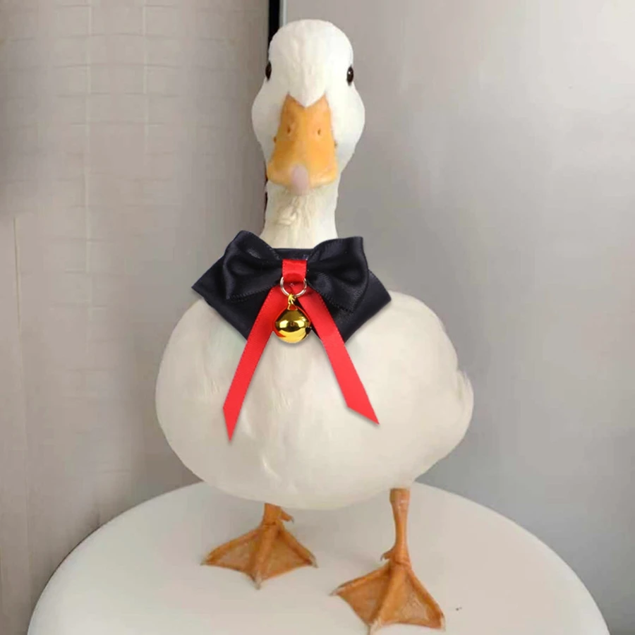 1pc Pet Chicken Duck Goose Tie Handmade Parrot Selling Cute Bird Collar Tie