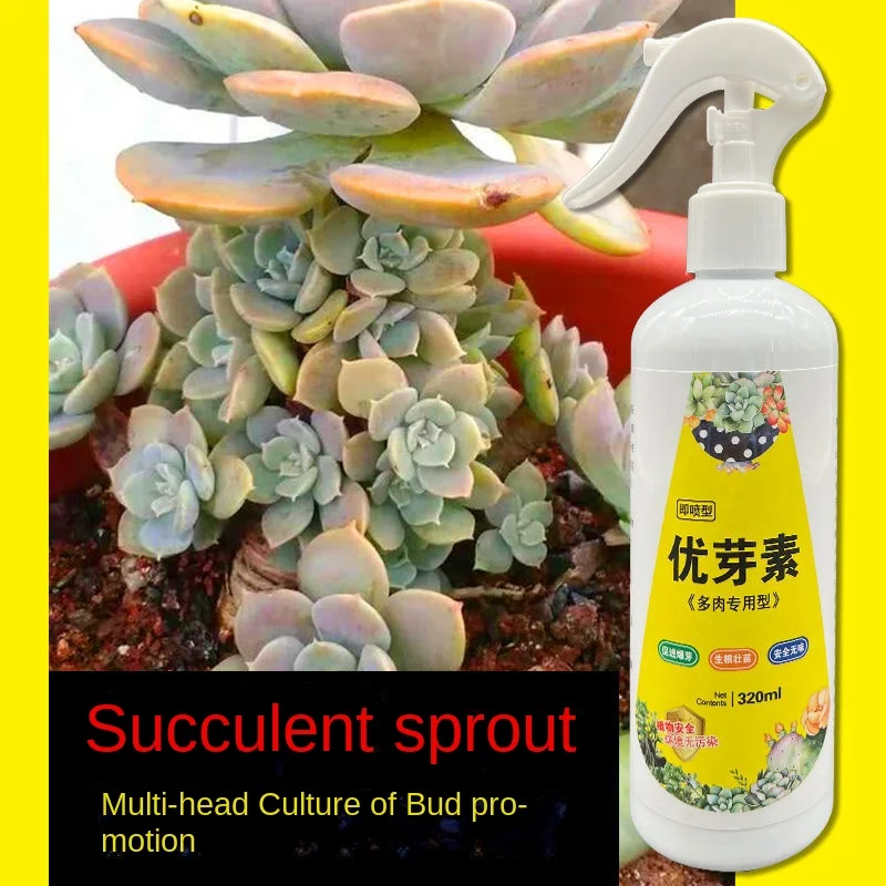 Succulent plant Eugenin promotes budding, dwarf fat, prevents leggy organic granules, succulent, and succulent 320ml