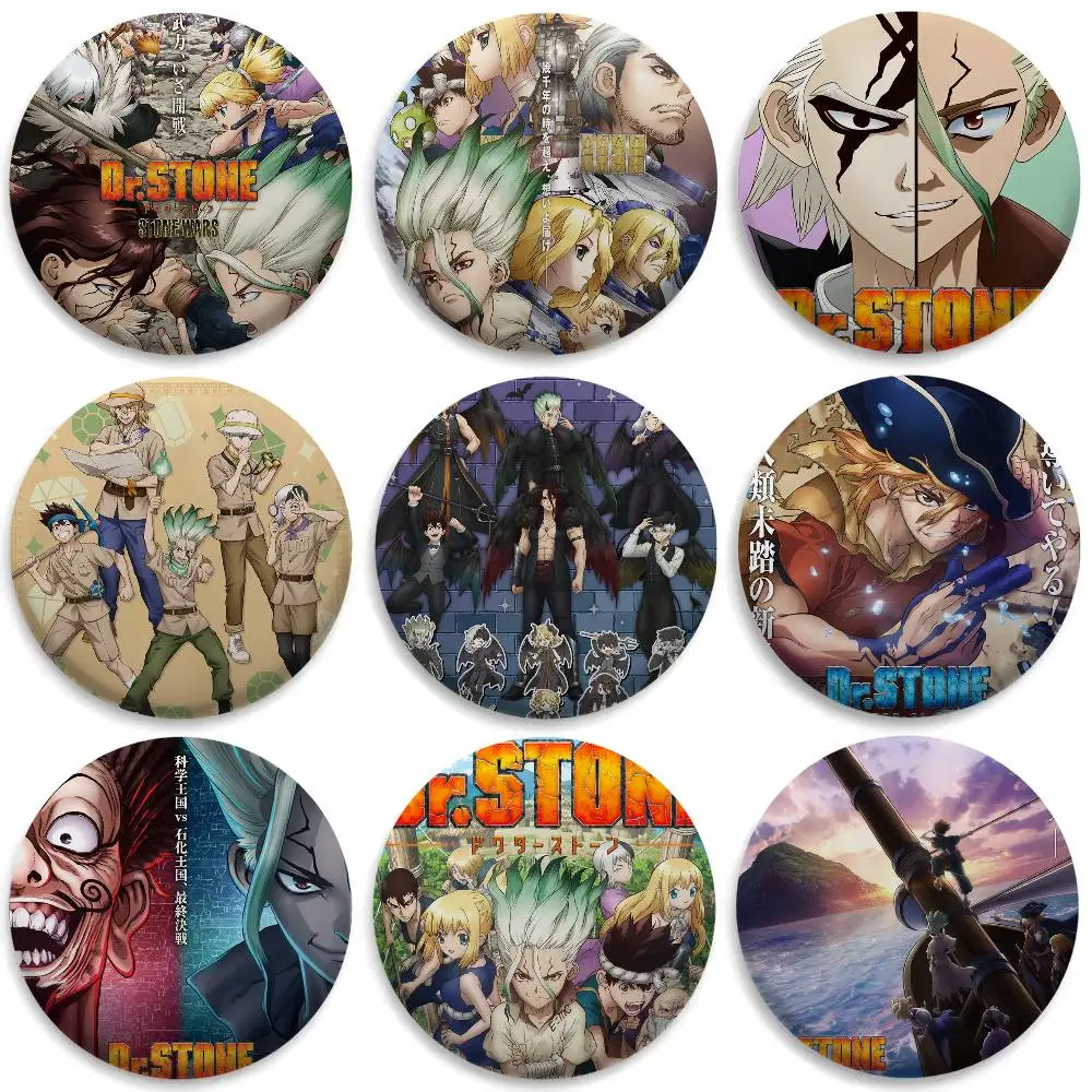 

Dr S-Stone Anime Cool Badges Round Exquisite Badge Brooches Creative Pins For Clothes Hat Backpack Gift Accessories