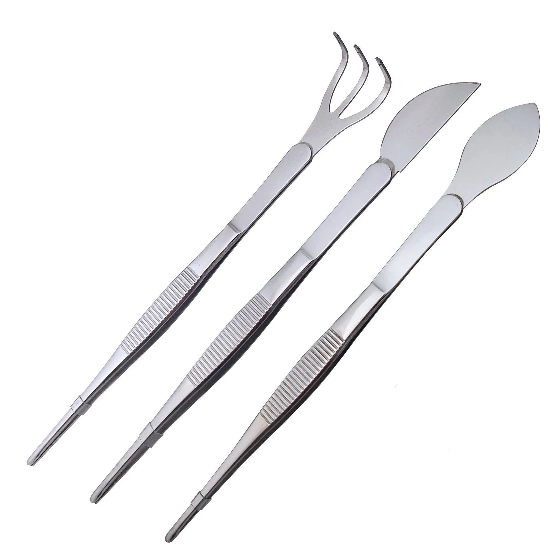 Rastrillo de raíz de acero inoxidable 304 2 en 1 con pinzas para bonsái con mango ergonómico, herramienta para cultivo de suelo para manualidades de suculentas