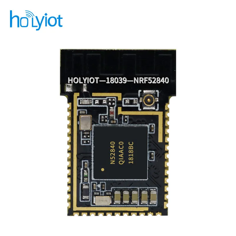 Nordic nRF52840 modulo Bluetooth a basso consumo energetico a lungo raggio 500 metri bluetooth 5.0, PCB e IPX Antenna