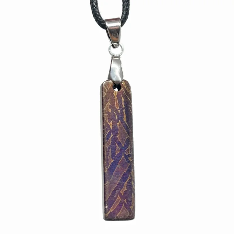 Muonionalusta Iron Meteorite Necklace Bar Shape Meteorite Slice Pendant Hand Finished Cosmic Rock Specimen Jewelry LK632