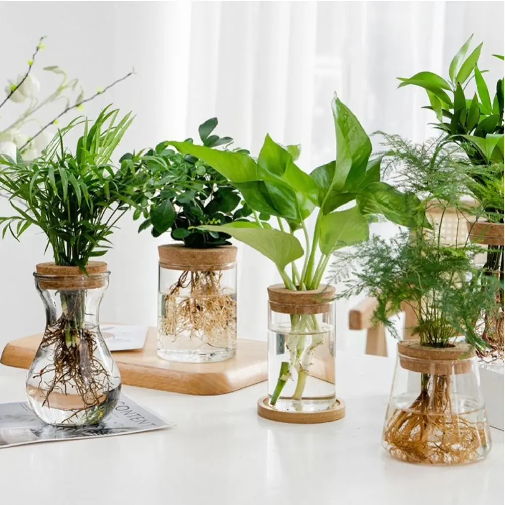 Transparent Hydroponic Vase, Creative Glass Plant Pot for Green Plants, Soil Free Mini Terrarium Home Office Decoration