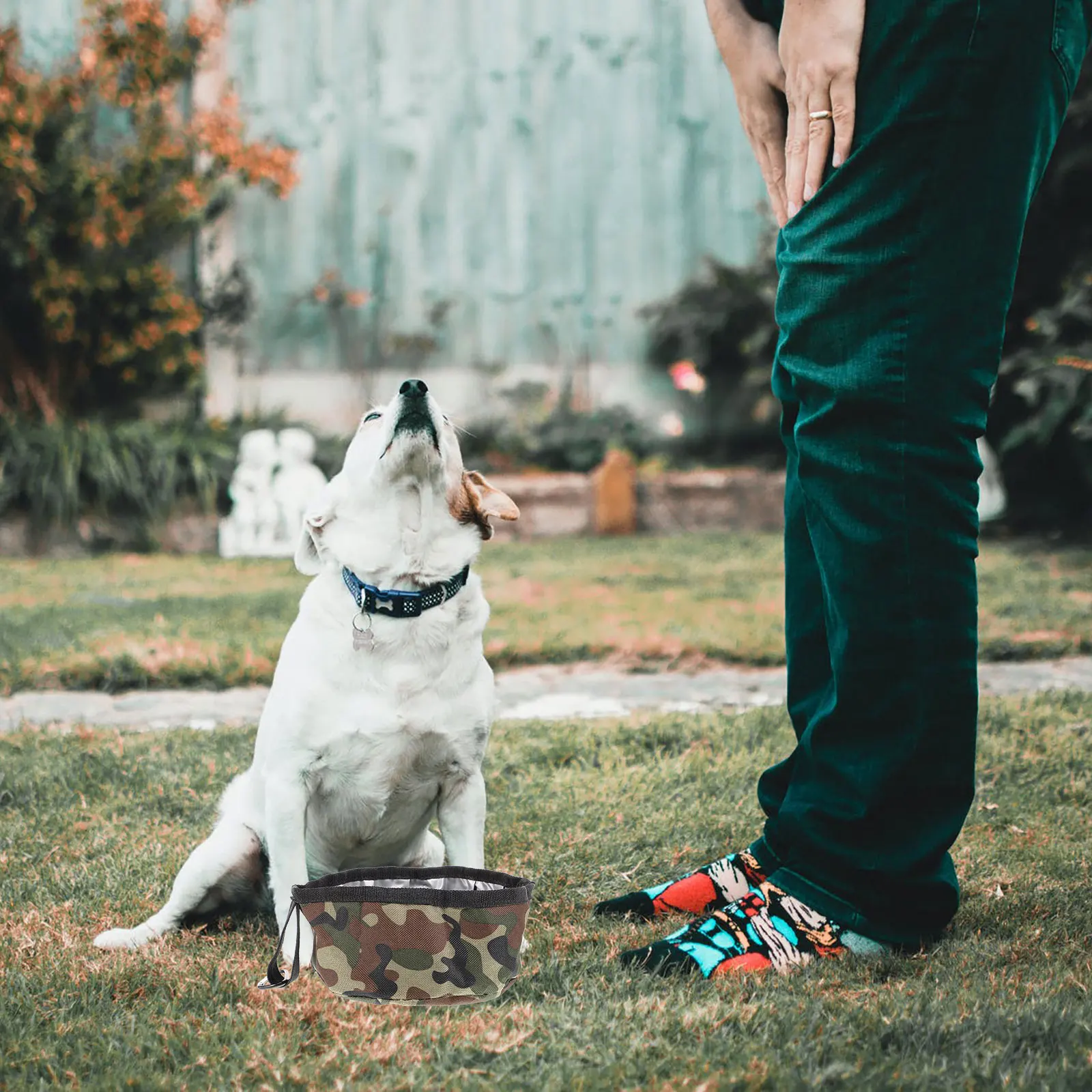 

Puppy Folding Bowl Dog Travel Dish Pet Waterproof Feeder Oxford Cloth Portable Small Pet Bowl Dog Bowls Small