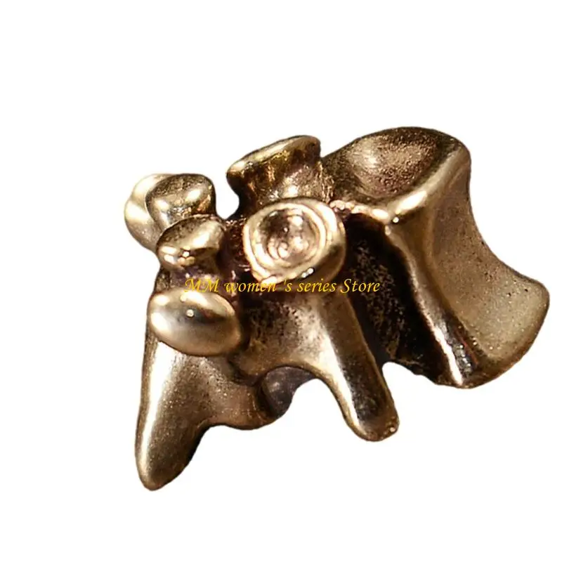 Q39C BRASS BRASS BEADSIN BEADS BEADS ROPINE LOK ROPE حبات كل يوم حمل