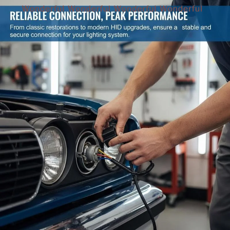 

HB2 Lamp Holder Connector Automotive Headlamp Plug with High Temperature Resistance for Vehicle Headlight Wiring Installation