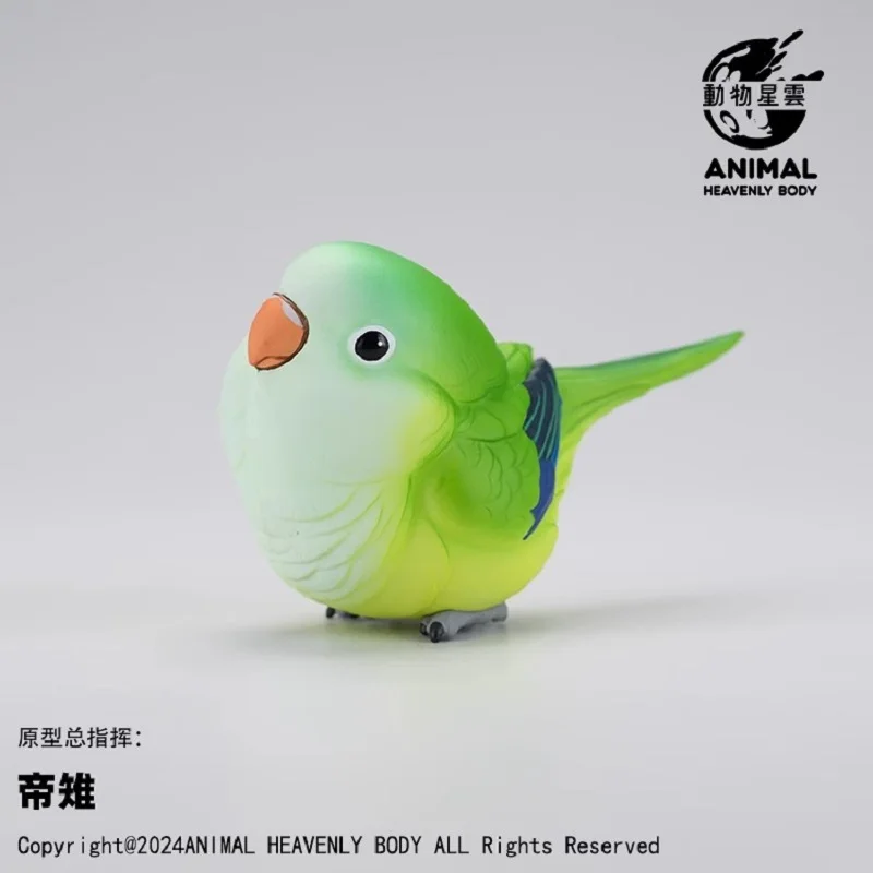 A Series of Laugh and Grow Fat Series Parrot Blind Box Animals Birds Crafts statue Cute Anime Figure Collectible Model Toys Gift