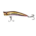 8.6CM-16G-01