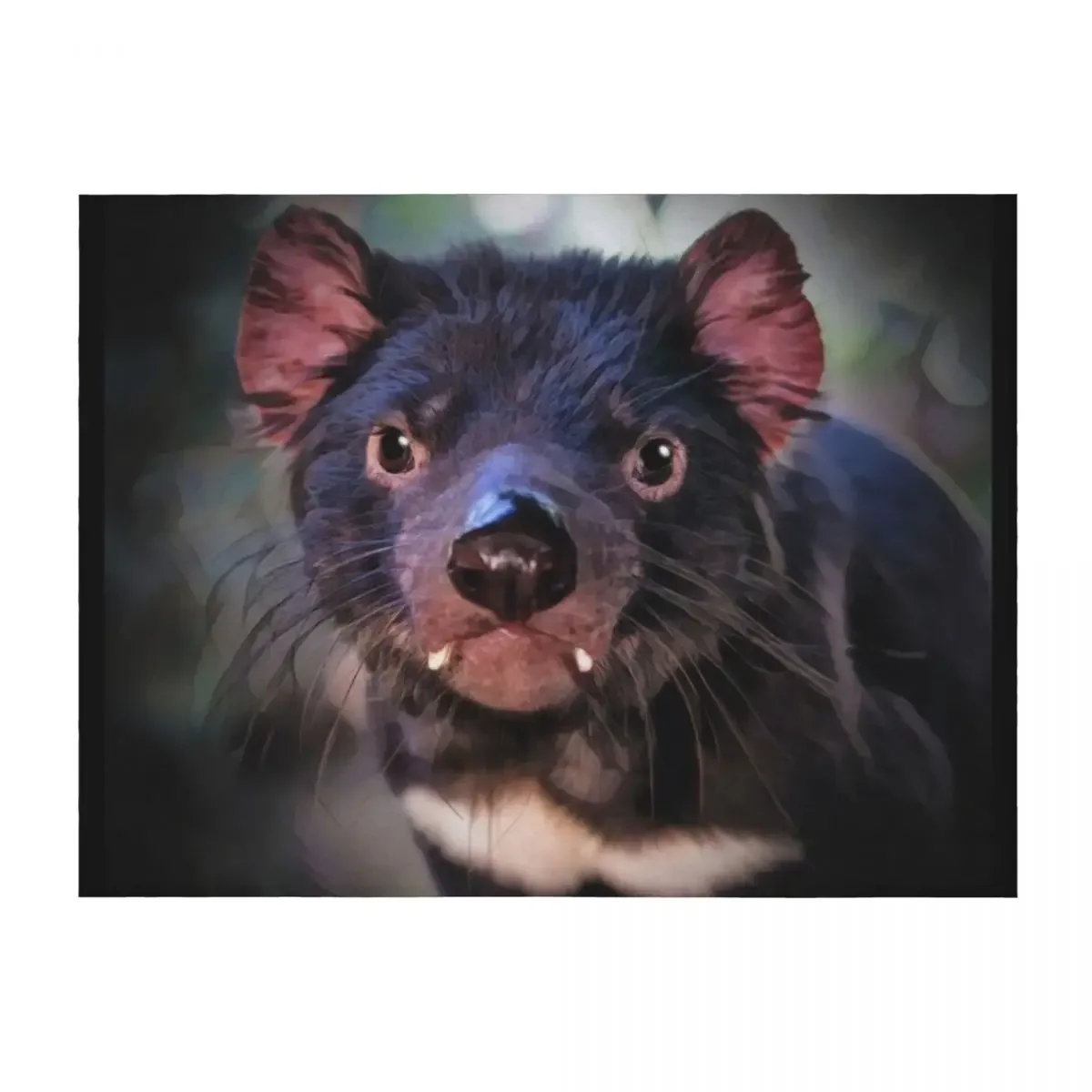 

Australian Tasmanian Devil Throw Blanket warm winter Furrys Picnic Personalized Gift Blankets