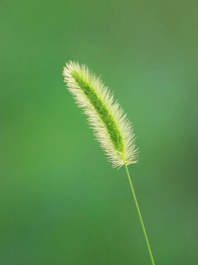 

45 ° Кронштейн для угловой шлифовальной машины, подставка для снятия фаски, держатель для шлифовки плитки, защитный стол для деревообработки, для плитки/дерева/камня