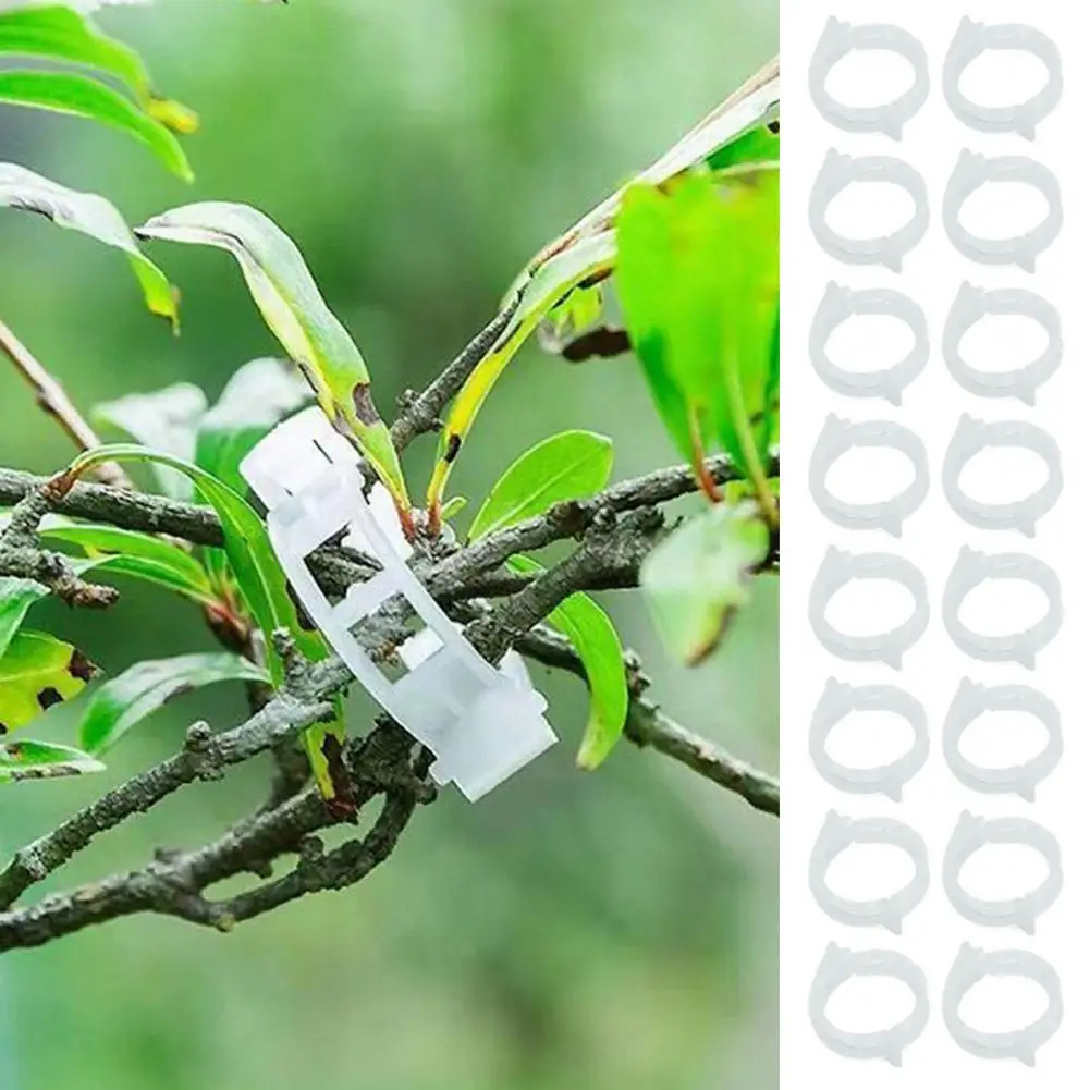 Vegetable Trellis Connectors 100pcs Plant Support Clips Reusable Garden Fastening Clips Clips for Climbing Plants Grape Vine