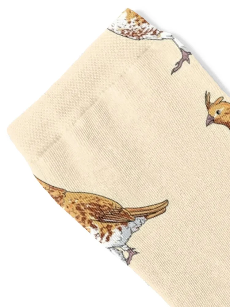 Ruffed Grouse State Bird of Pennsylvania Socks winter gifts Stockings Wholesale Non-slip Women's Socks Men's