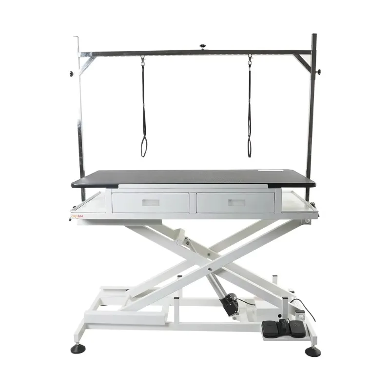 

New electric lifting pet dog cleaning table