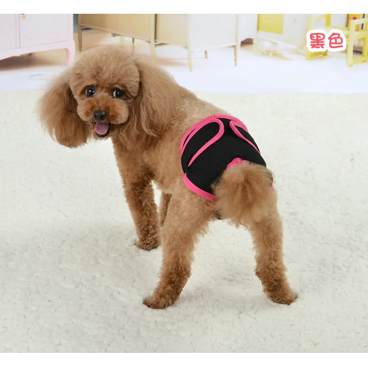 Female Dog Physiological Pants Pet Safety Underwear Small Dog Menstrual Period Golden Retriever Thin Version Menstrual Pants