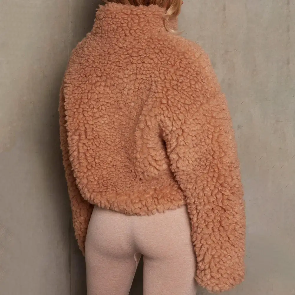 Jas met opstaande kraag Dameswinterjas Korte opstaande kraag Dikke pluche Winddichte buitenjas met ritssluiting voor dagelijks gebruik Hals