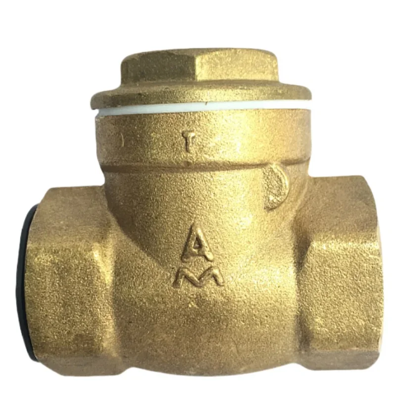 Check valve Brass thickened rubber soft seal vacuum pump check valve water meter check valve water valve