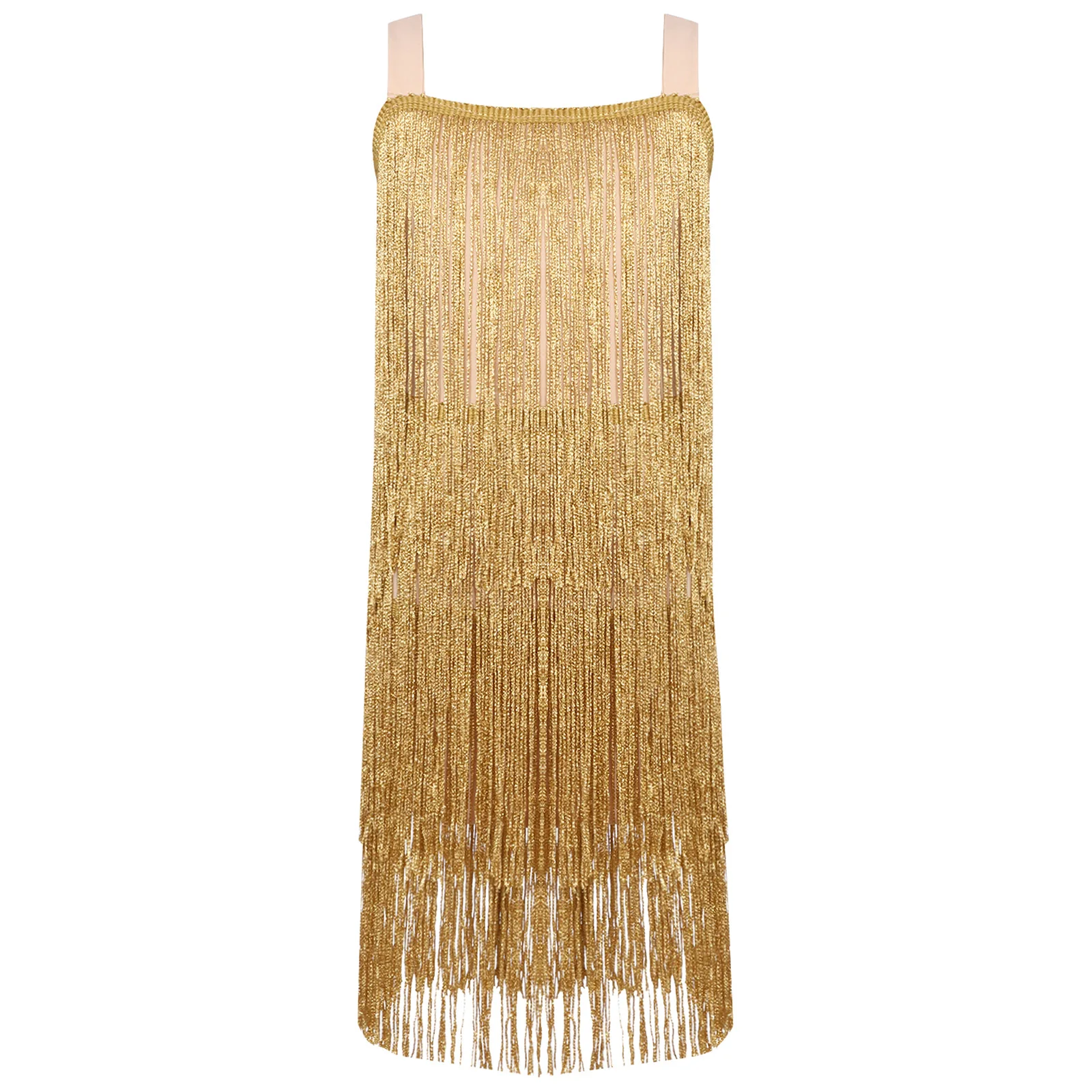 

Kids Girls Tiered Tassel Latin Dance Dress Sleeveless Wide Shoulder Straps Back Shimmering Fringe Dresses Tango Samba Dancewear